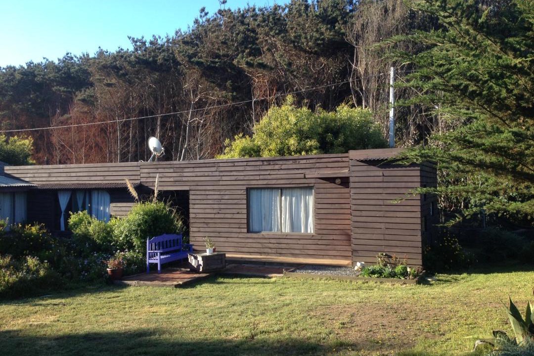 Photo of Others in Pichilemu