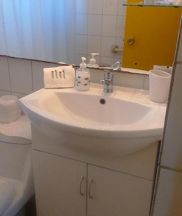 Photo of Bathroom in Temuco