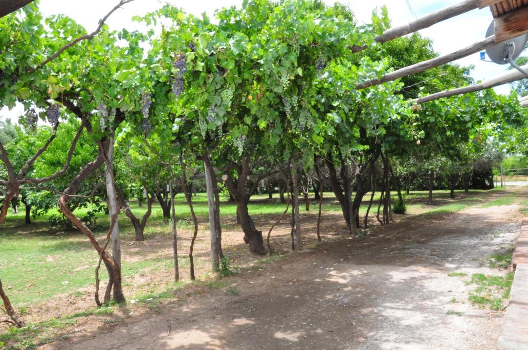 Photo of Others in San Agustin de Valle Fertil