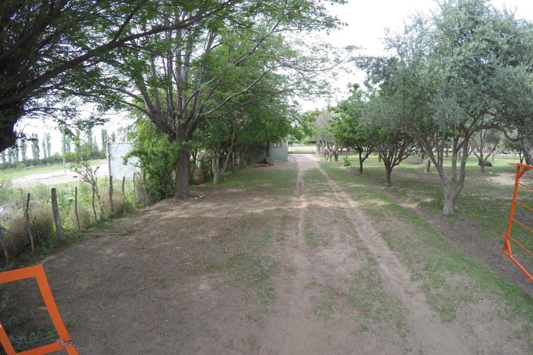 Photo of Others in San Agustin de Valle Fertil