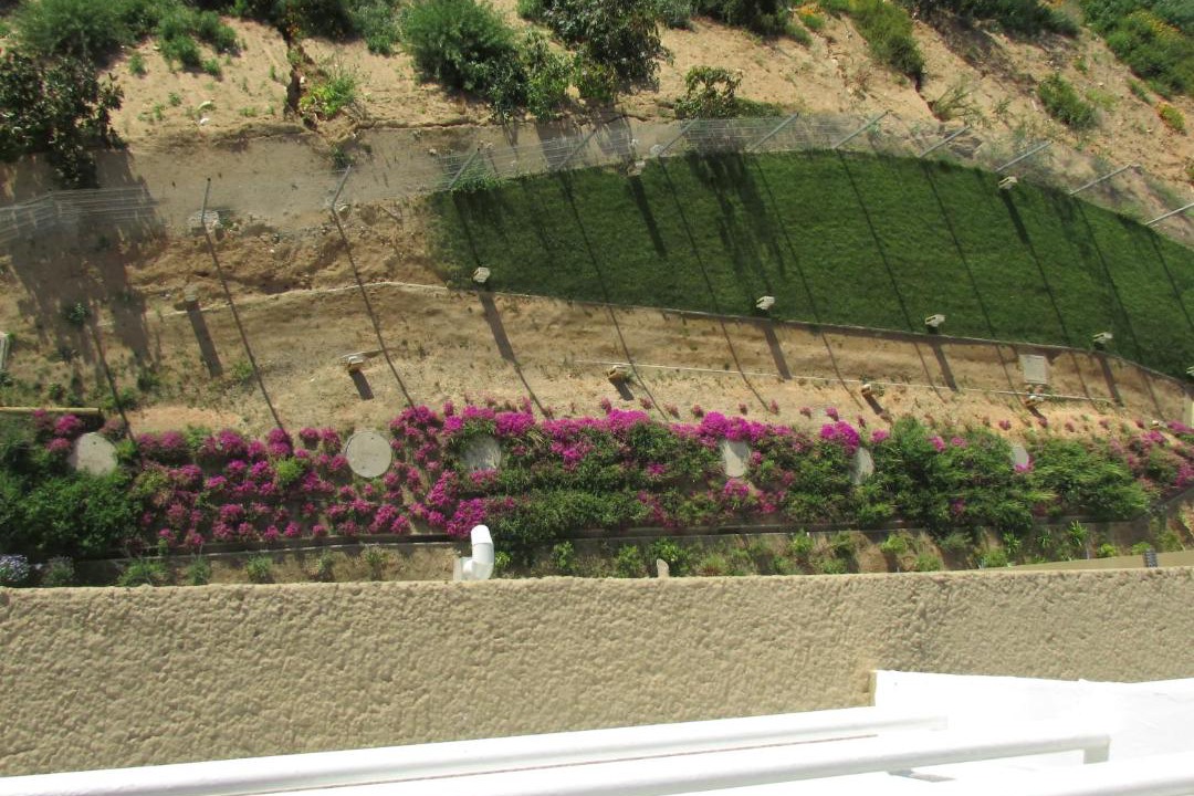 Photo of Outdoor in Placeres