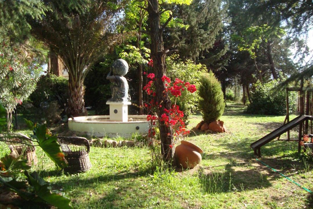 Photo of Others in Chilecito