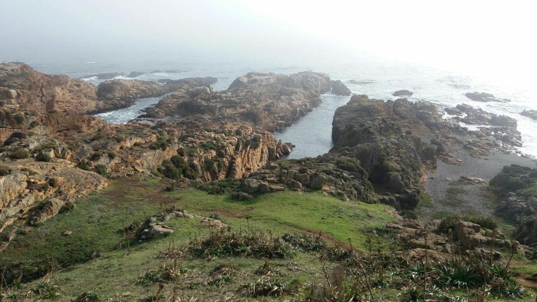 Photo of Others in Pelluhue