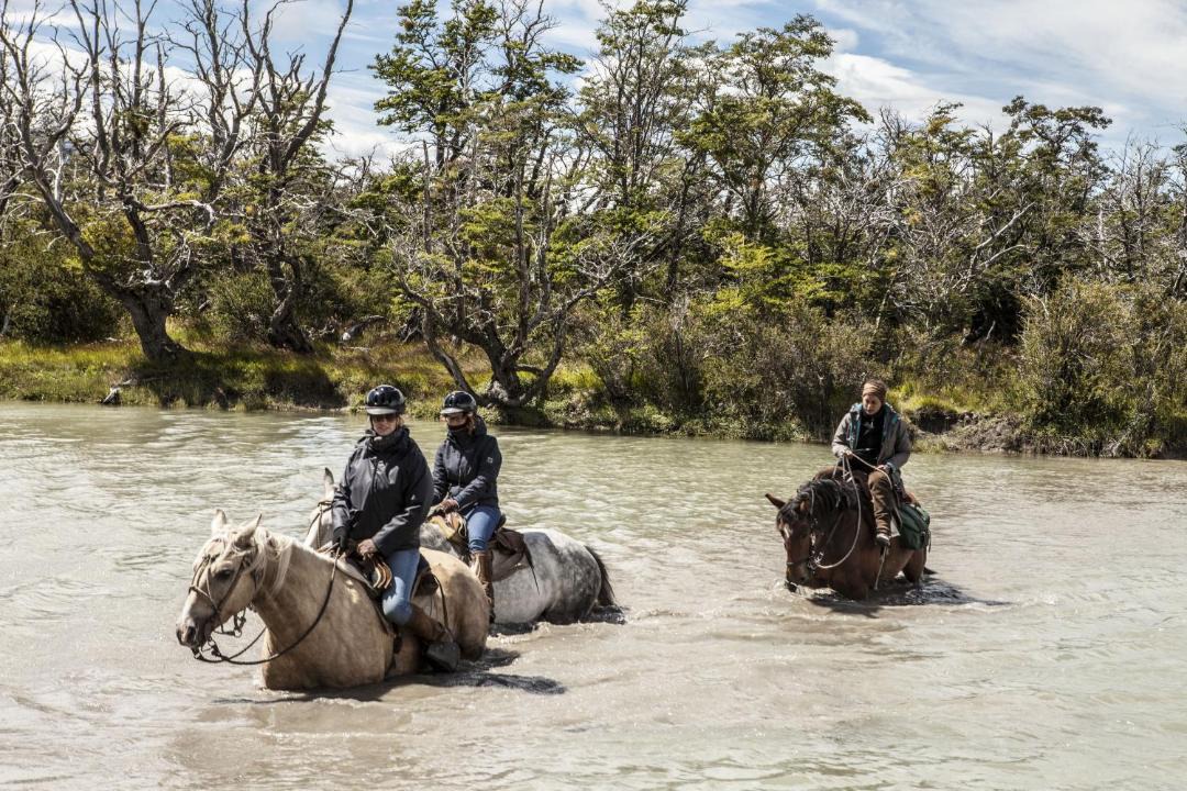 Photo of Others in Torres Del Paine