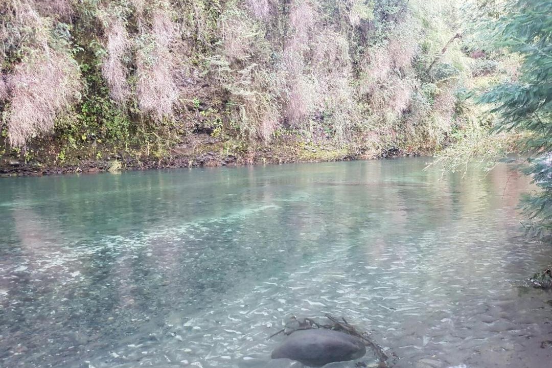 Photo of Others in Rio Claro
