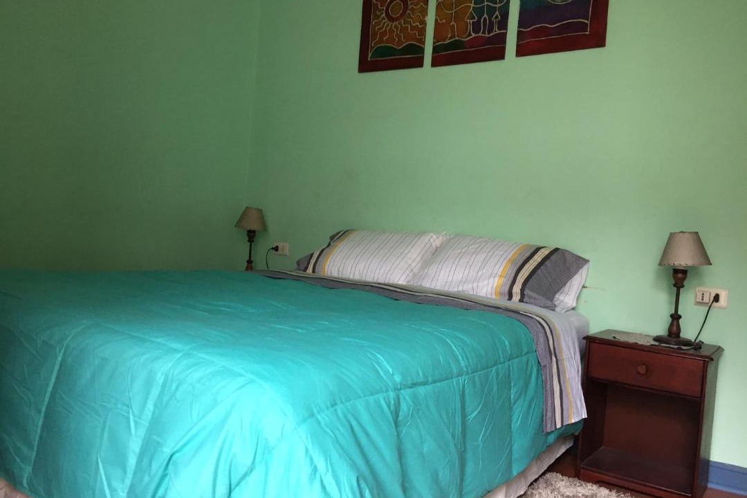Photo of Bedroom in Downtown Santiago