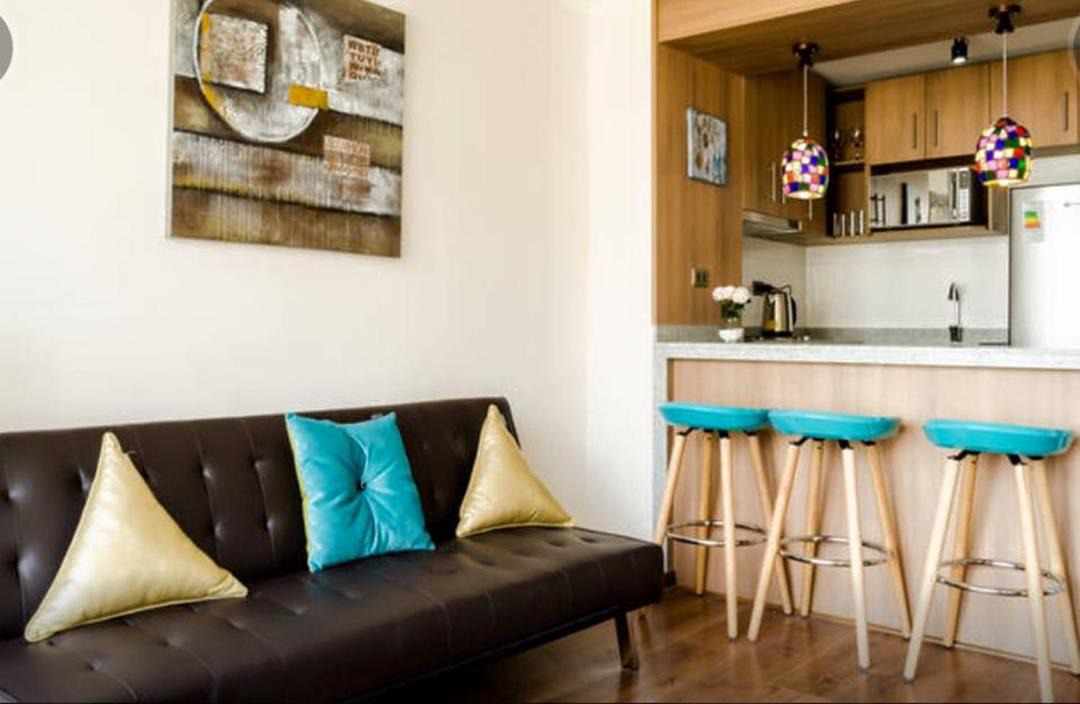 Photo of Livingroom in Downtown Santiago
