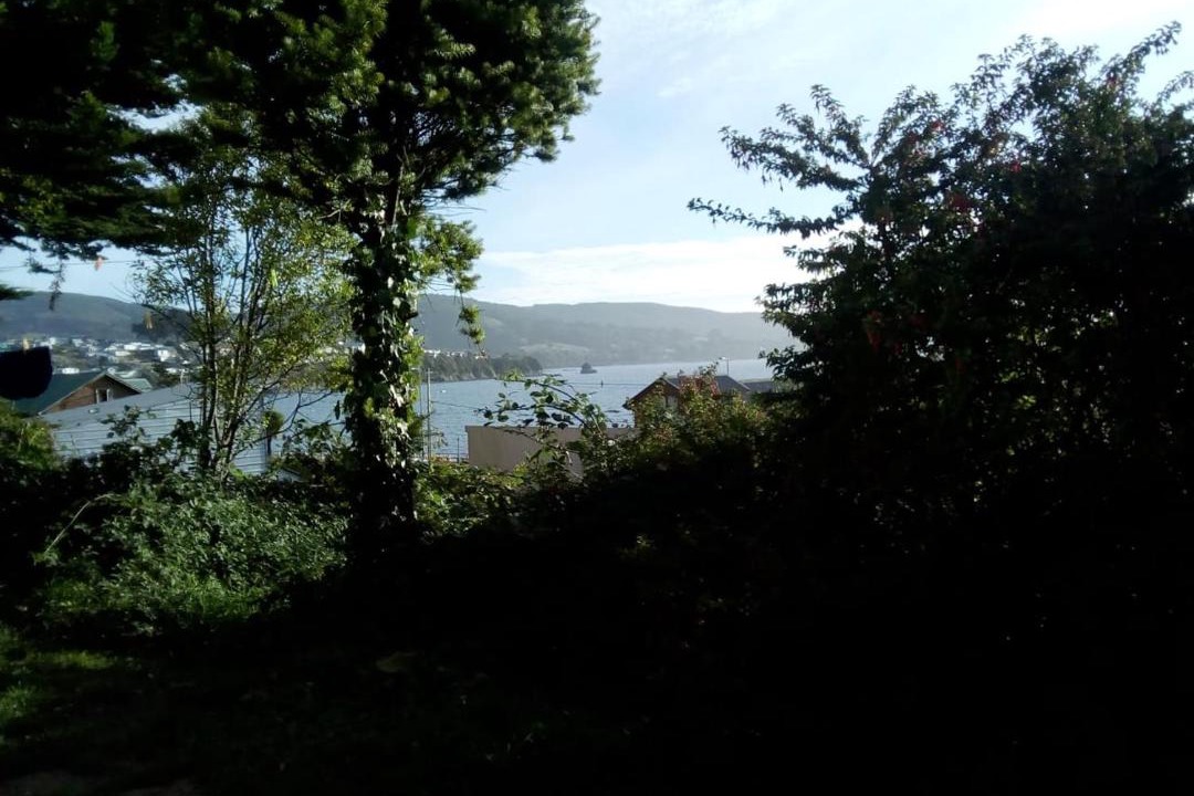 Photo of Others in Ancud