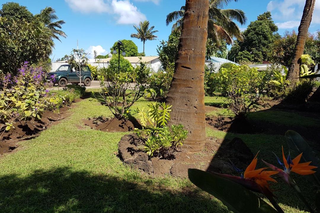 Photo of Others in Hanga Roa