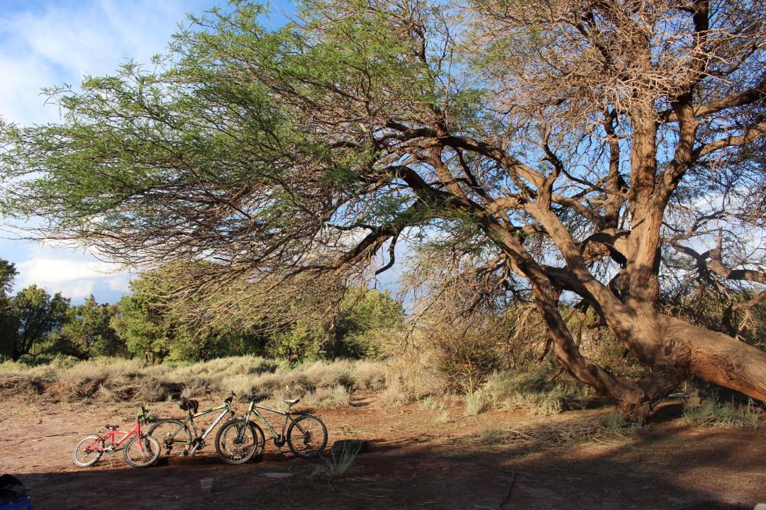 Photo of Others in San Pedro de Atacama