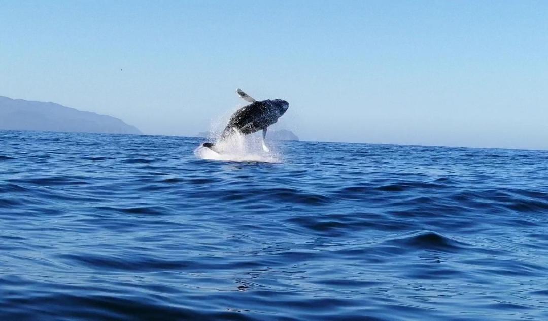 Photo of Others in Ancud
