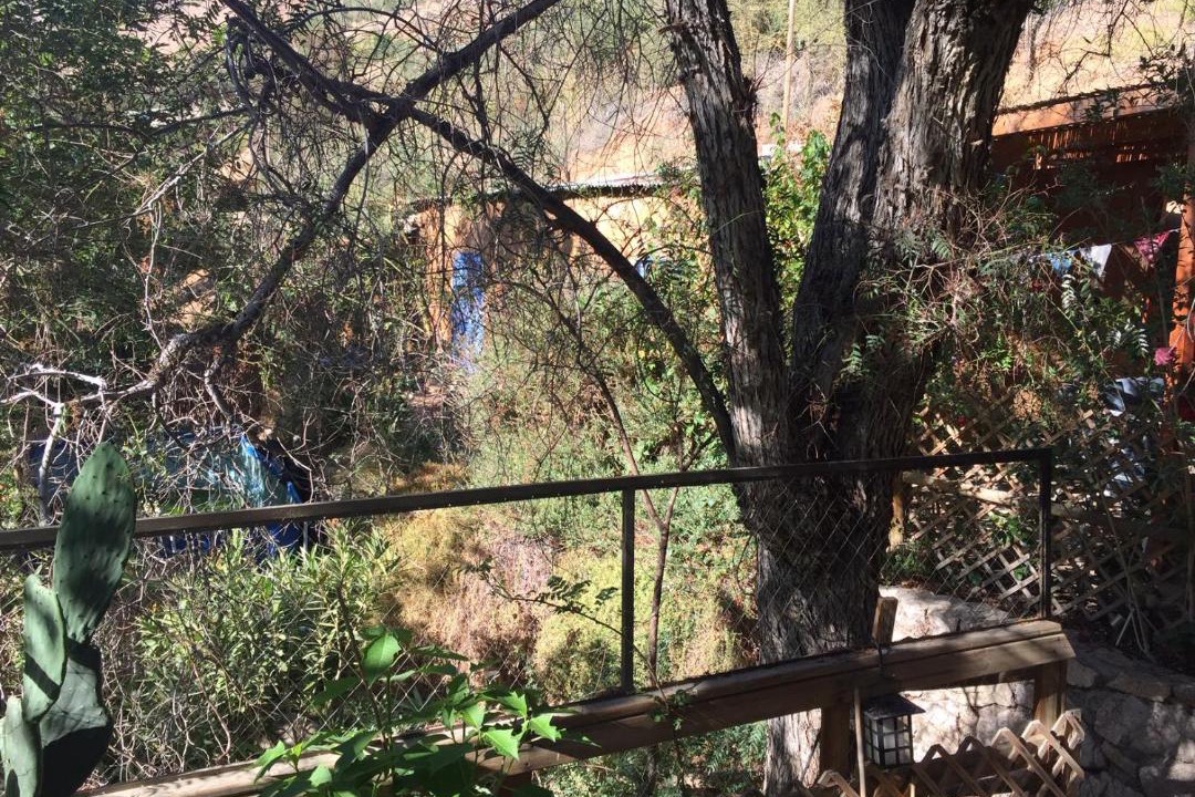 Photo of Others in Pisco Elqui