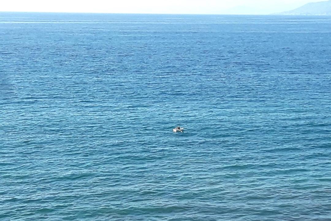 Photo of Others in Puchuncavi