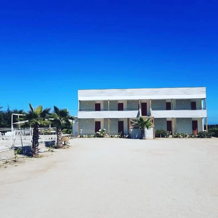 Photo of Others in Pichidangui