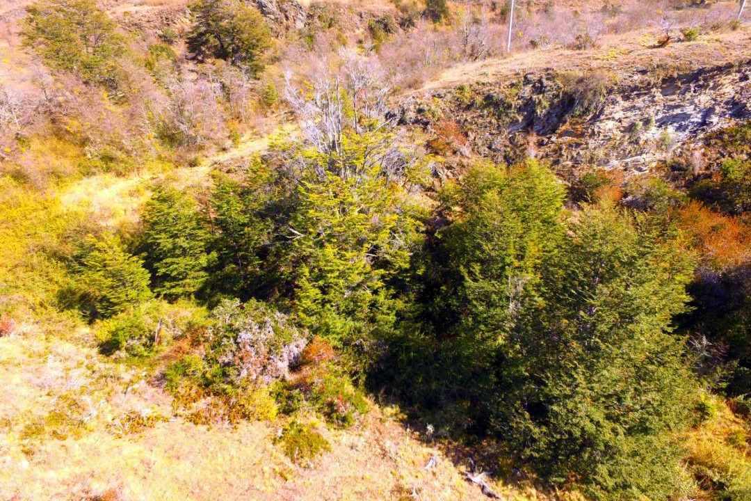 Photo of Outdoor in Luis Soto