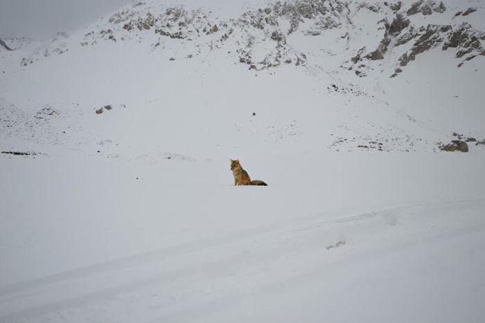 Photo of Others in San Jose de Maipo