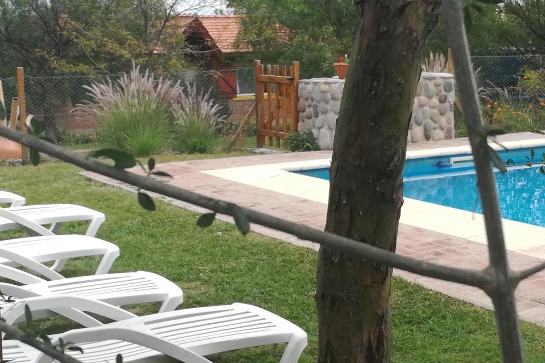 Photo of Others in Cortaderas