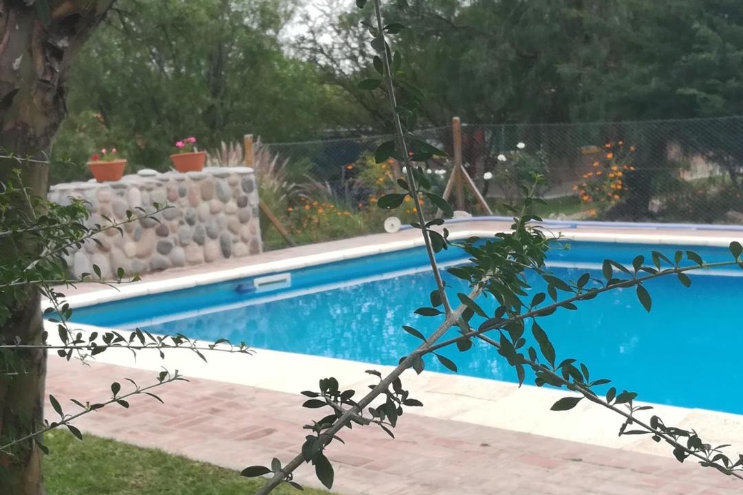 Photo of Others in Cortaderas