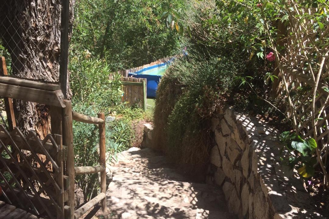 Photo of Others in Pisco Elqui