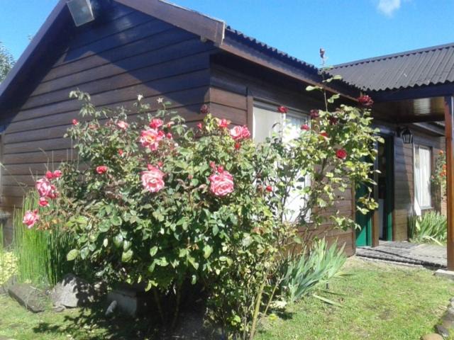 Photo of Others in Trevelin