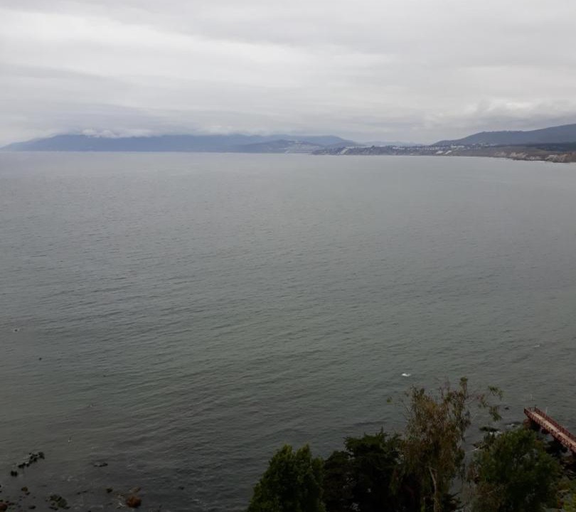 Photo of Outdoor in Caleta Horcon