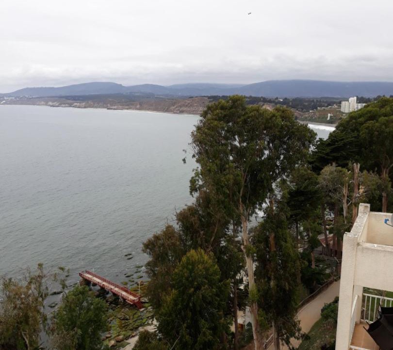 Photo of Others in Caleta Horcon
