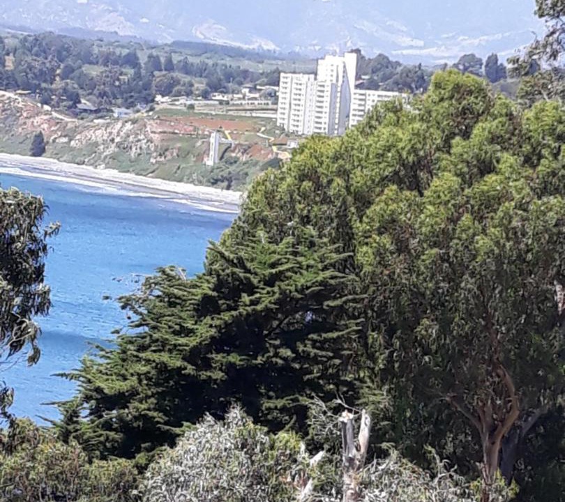 Photo of Outdoor in Caleta Horcon