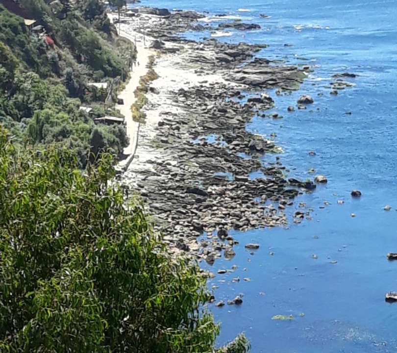 Photo of Outdoor in Caleta Horcon