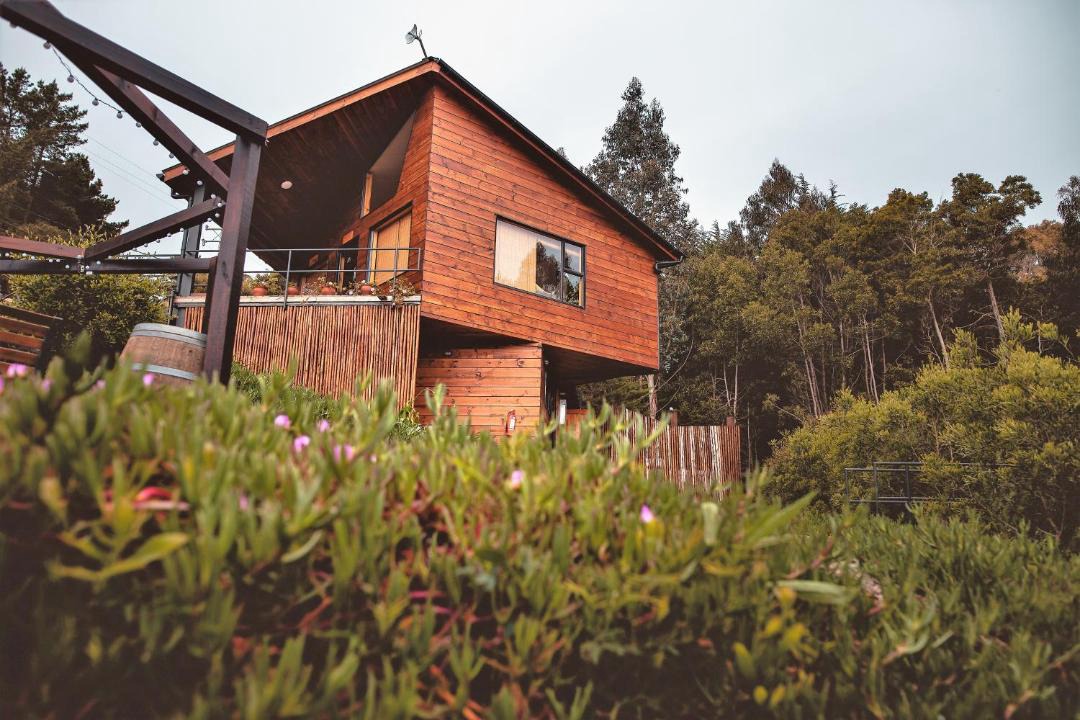 Photo of Others in Pichilemu