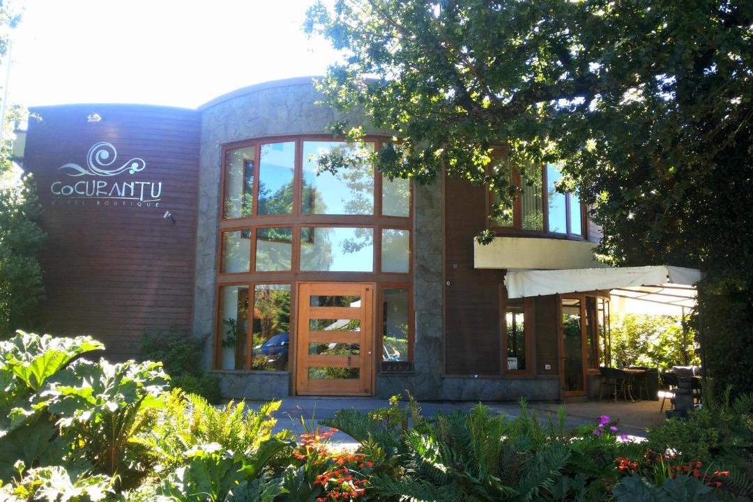 Photo of Others in Pucon