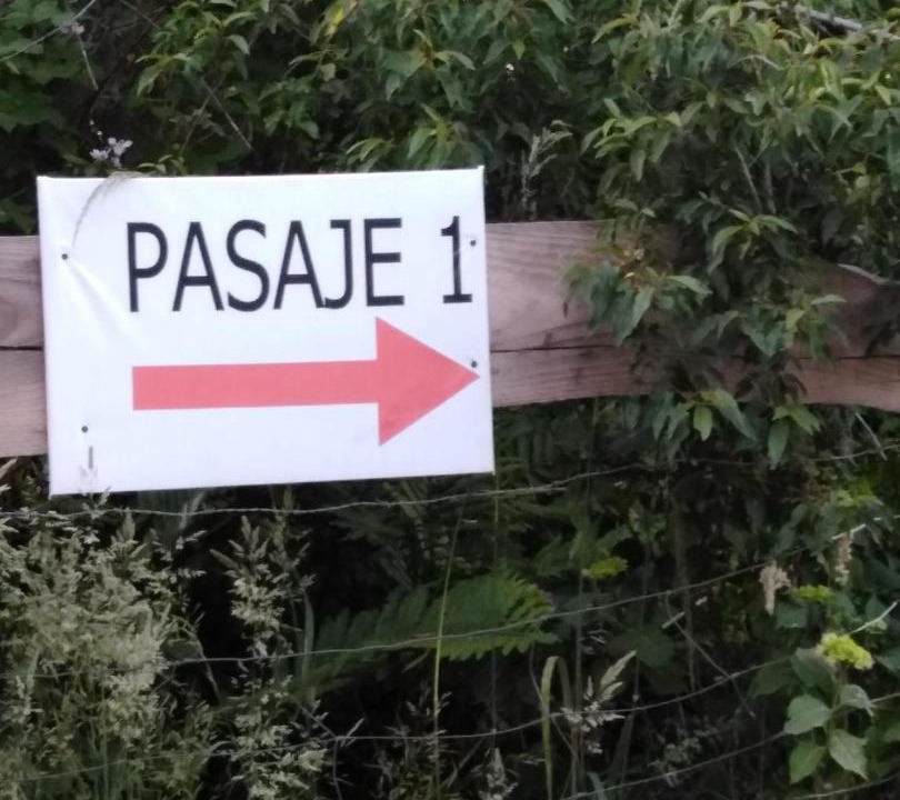 Photo of Others in Villarrica