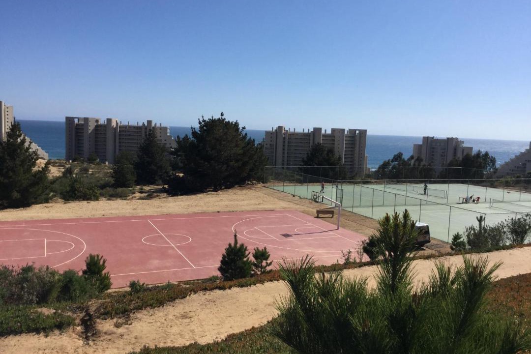 Photo of Others in Algarrobo