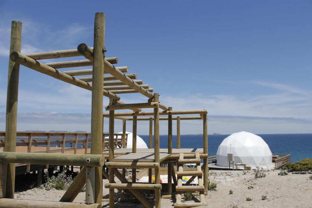 Photo of Others in Punta de Choros