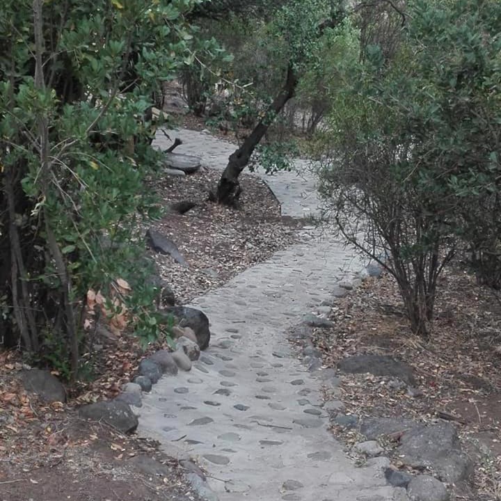 Photo of Others in El Ingenio