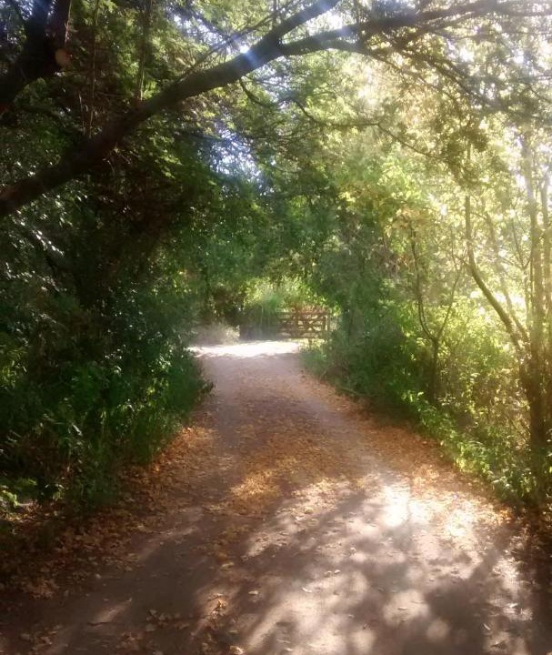 Photo of Others in San Marcos Sierra