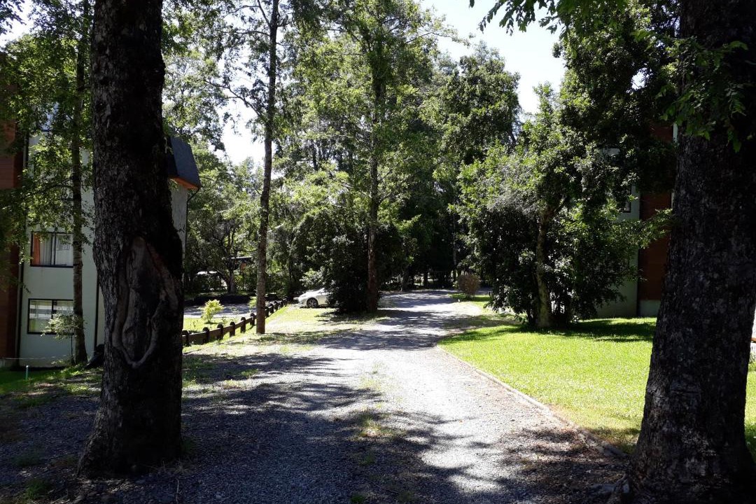 Photo of Others in Pucon