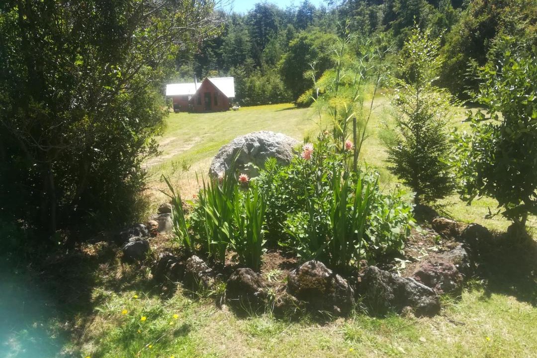 Photo of Others in Conaripe