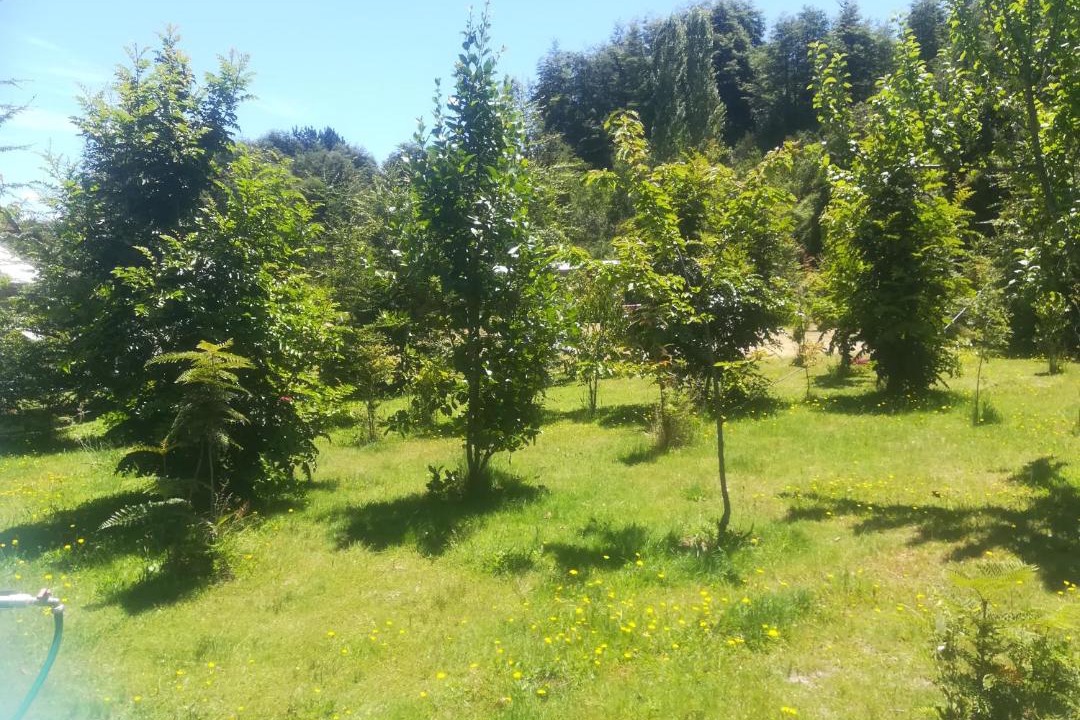Photo of Outdoor in Conaripe