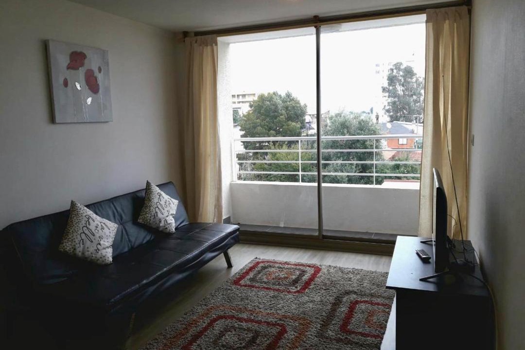 Photo of Livingroom in Placeres