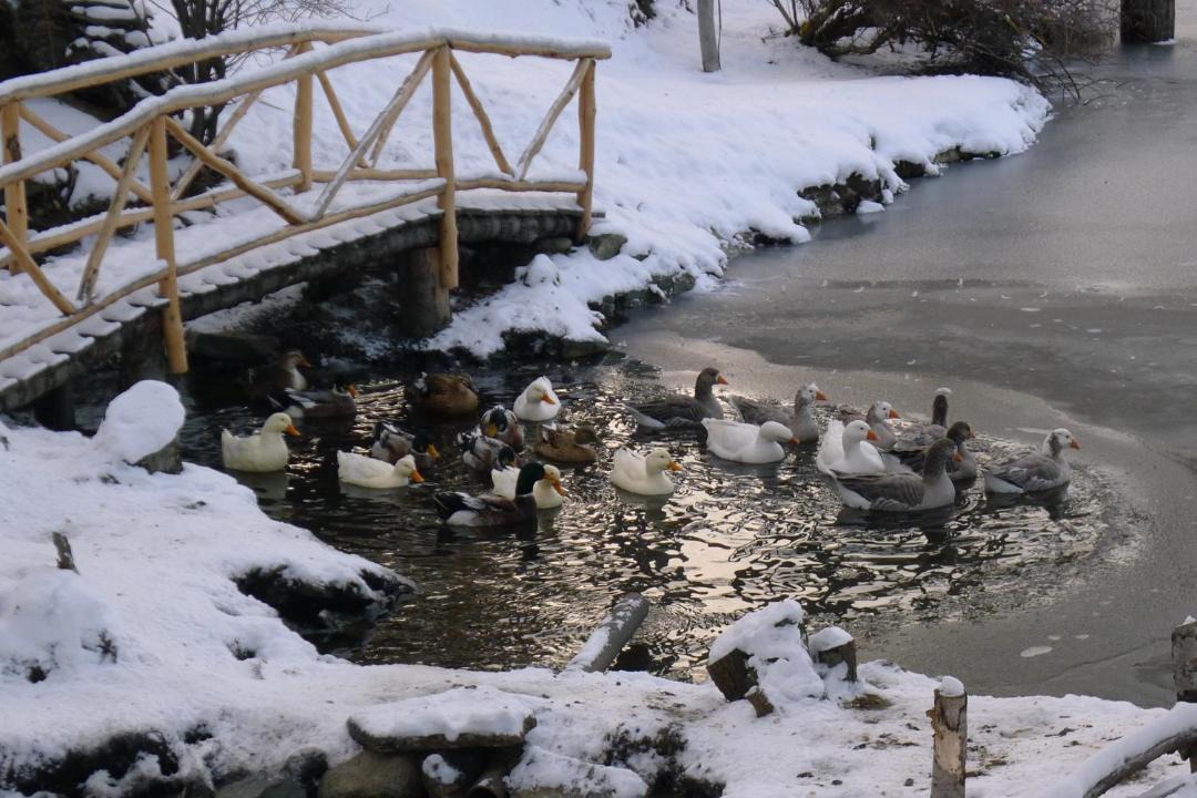 Photo of Others in Province of Tierra del Fuego