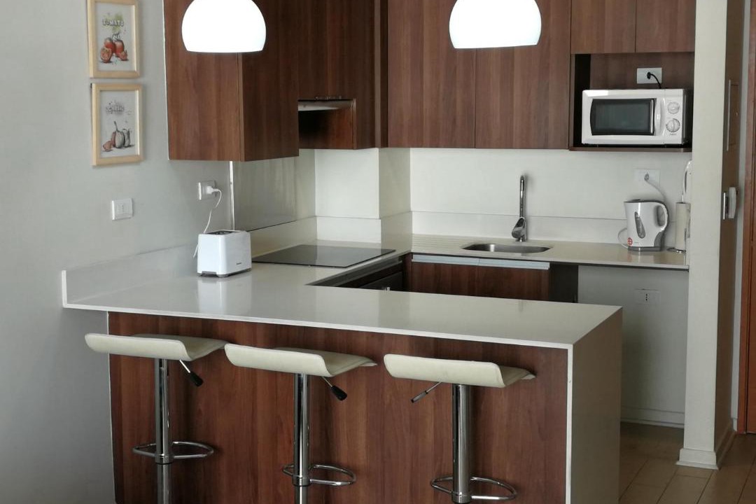 Photo of Kitchen in Santiago