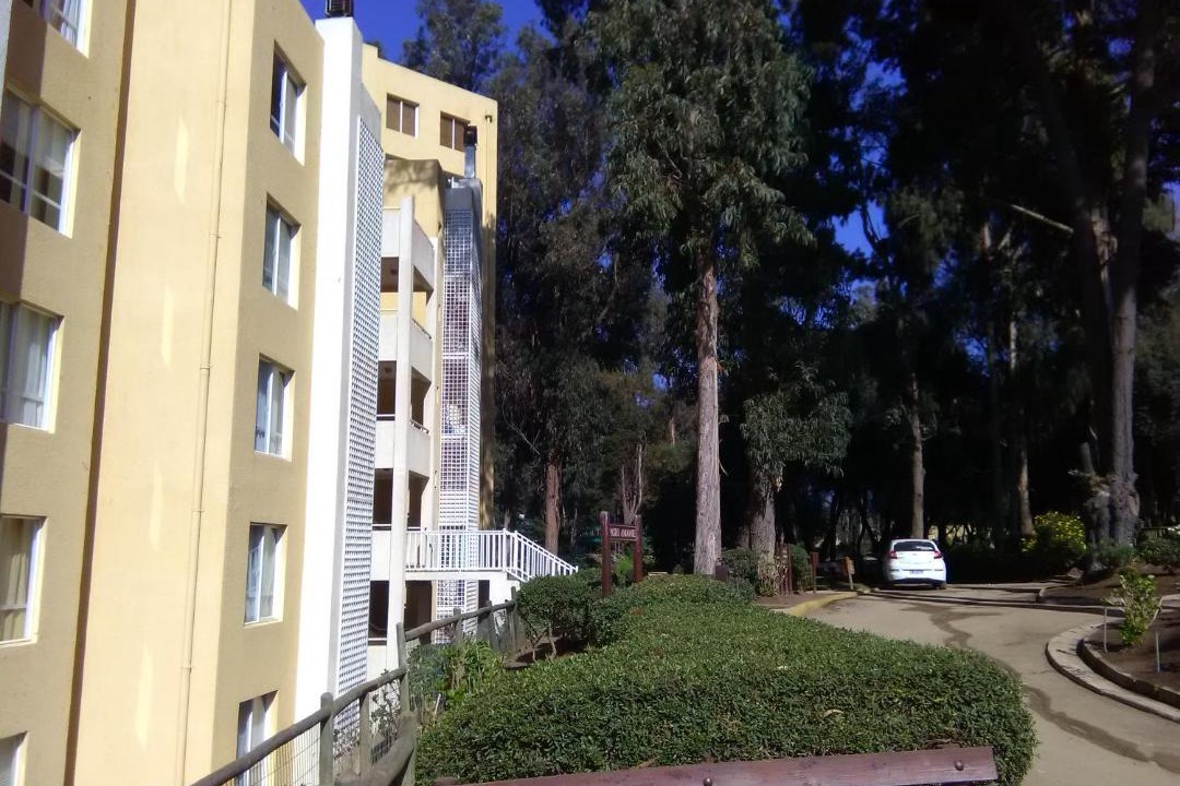 Photo of Buildings in Caleta Horcon