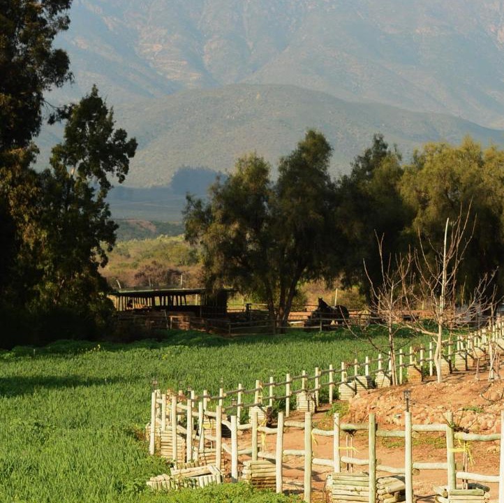 Photo of Others in Ovalle