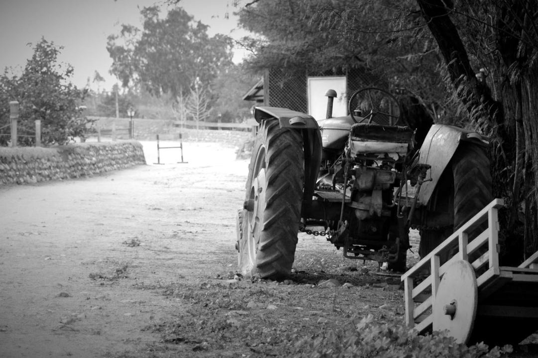 Photo of Others in Ovalle