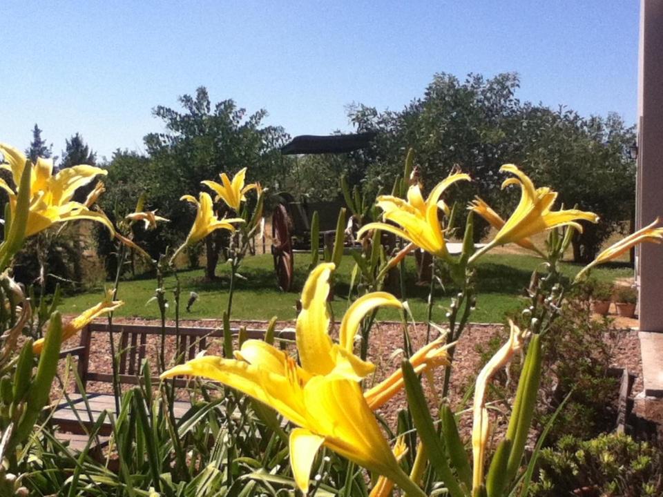Photo of Others in San Antonio de Areco