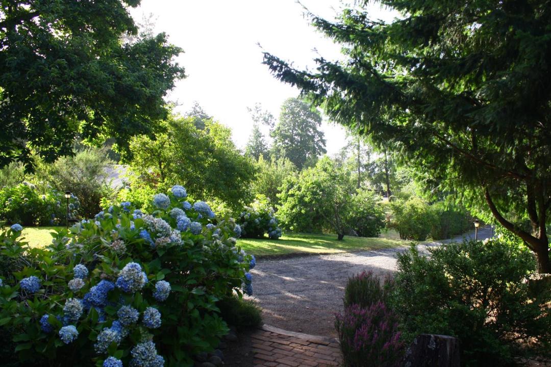 Photo of Others in Villarrica