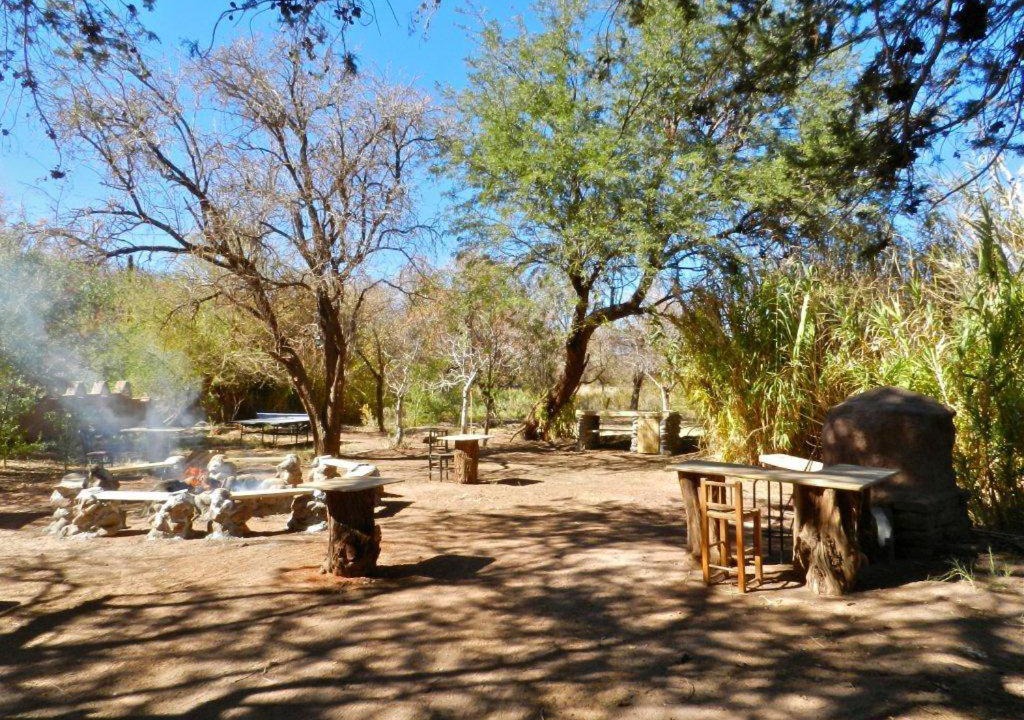 Photo of Others in San Pedro de Atacama