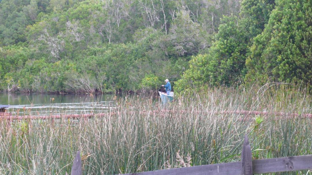 Photo of Others in Puerto Varas