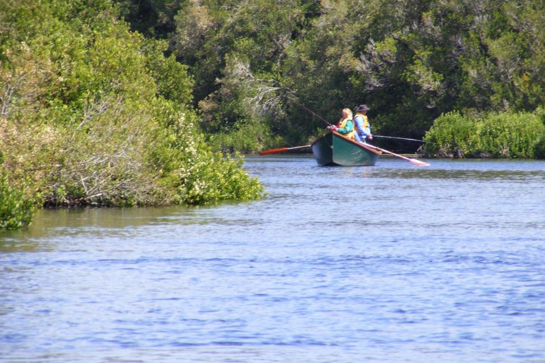 Photo of Others in Puerto Varas