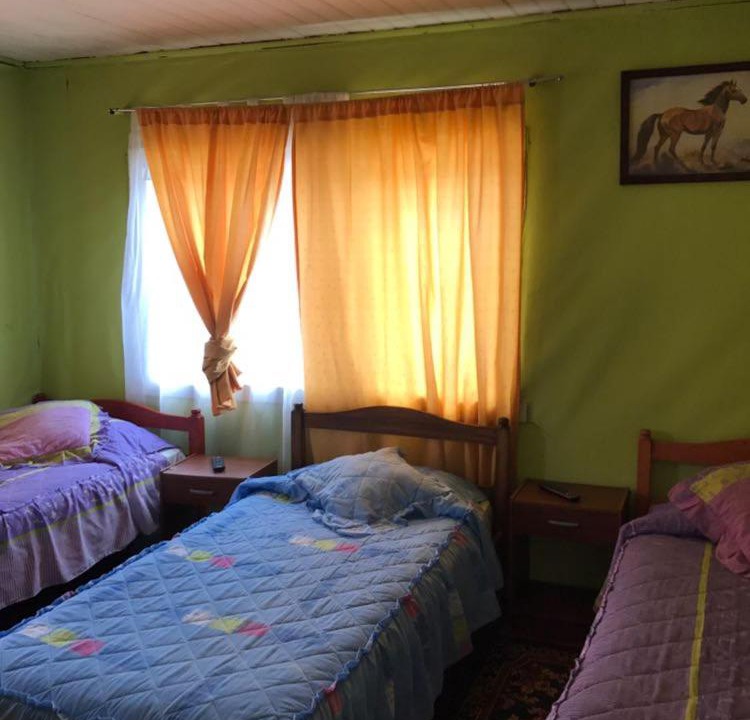 Photo of Others in Osorno